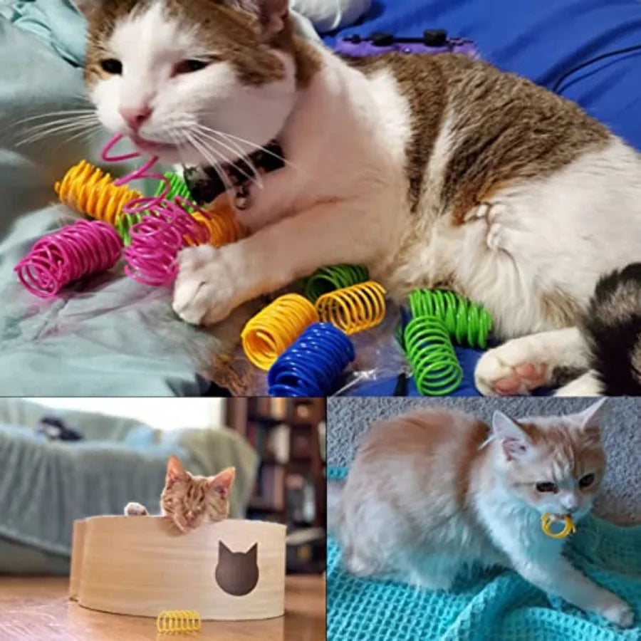 Durable Heavy Gauge Coil Spring Cat And Kitten Toy
