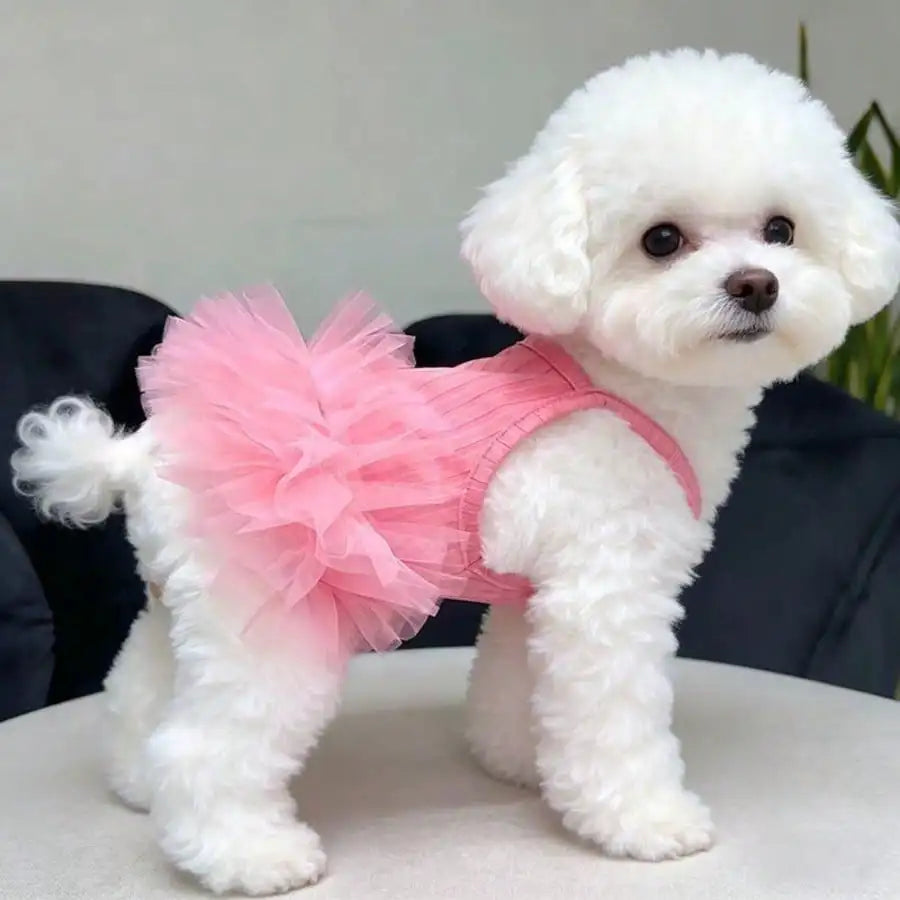 Dog Tutu Dress Valentine Day Outfit For Pets