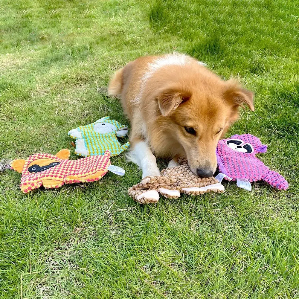 No Stuffing Squeaky Crinkle Dog Toys For Puppies