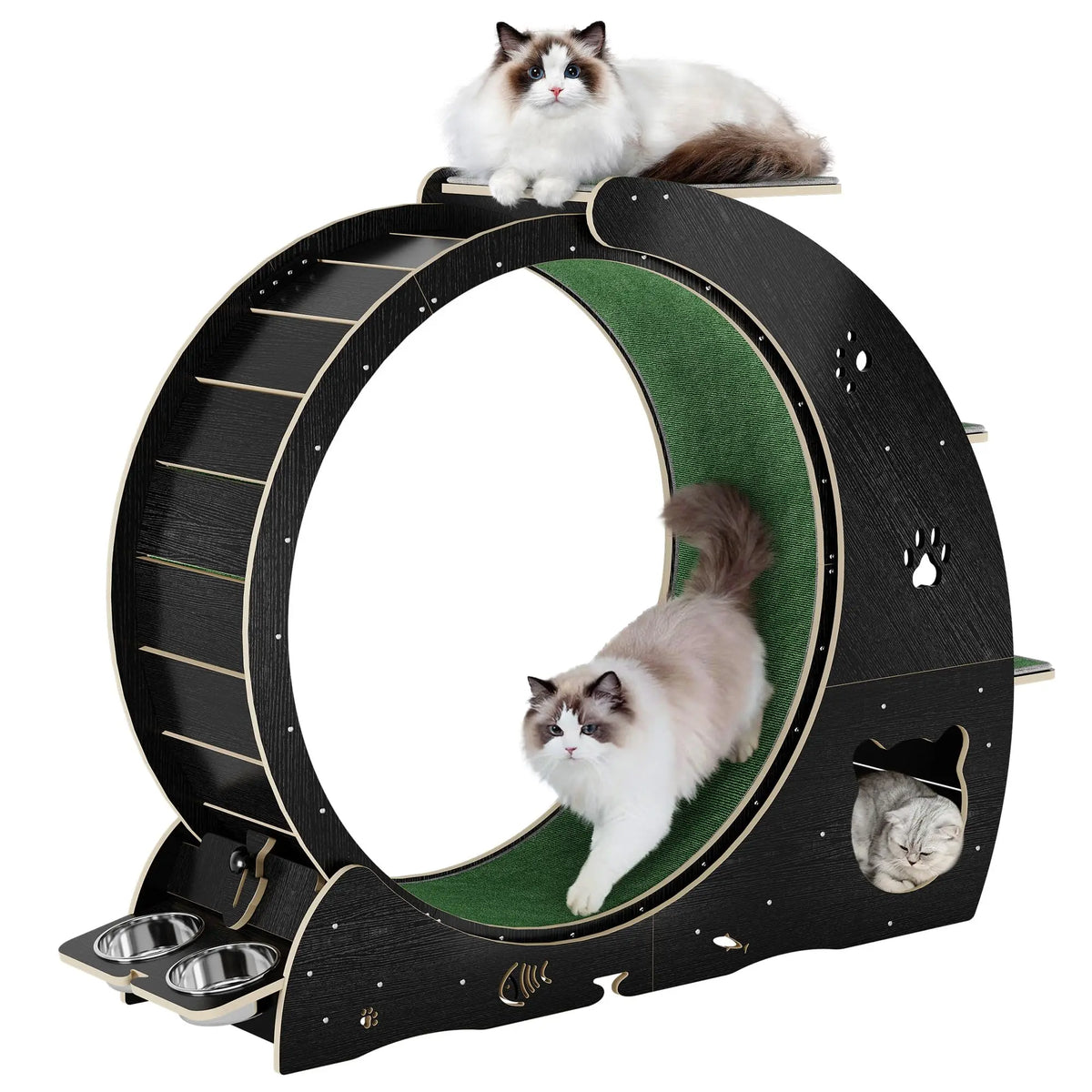 HiMiss 6 In 1 Cat Exercise Wheel With Integrated Scratcher