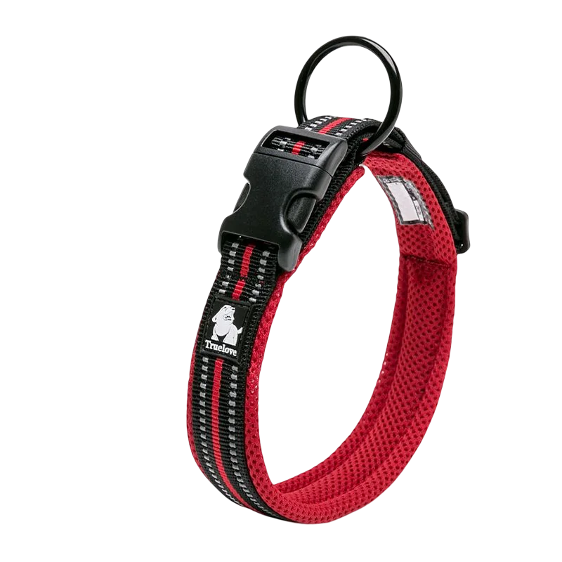 Winhyepet Padded Nylon Dog Collar With Secure Breakaway Buckle