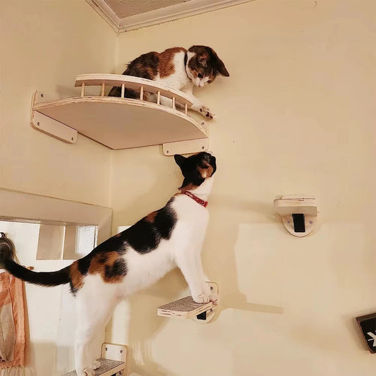 CWV 3Pcs Corner Hammock Cat Tree With Steps
