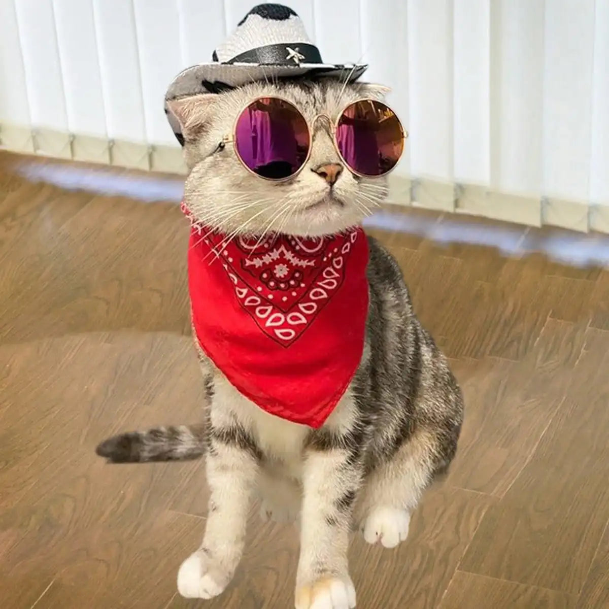 Dog Cowgirl Costume Pet Halloween Costumes Western Hat Bandana And Glasses Set For Dogs Cats