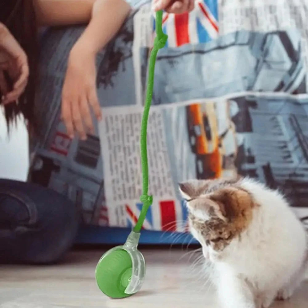 Self Moving LED Interactive Cat Toy Ball With Rope Tail