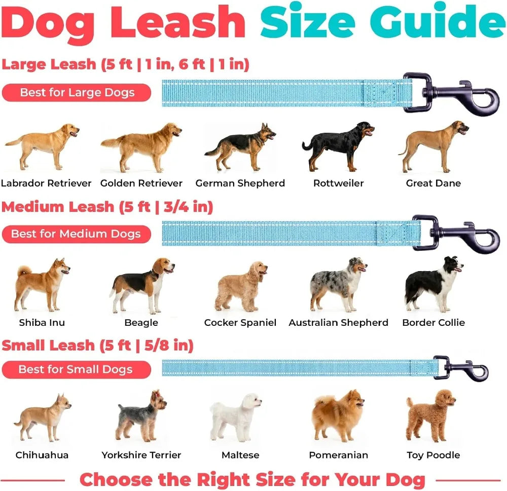 Reflective Neoprene Handle Heavy Duty Nylon Dog Leash