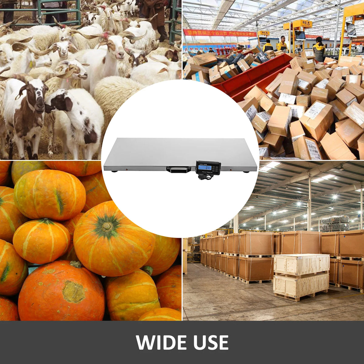 Digital Stainless Steel Pet Livestock Postal Shipping Scale