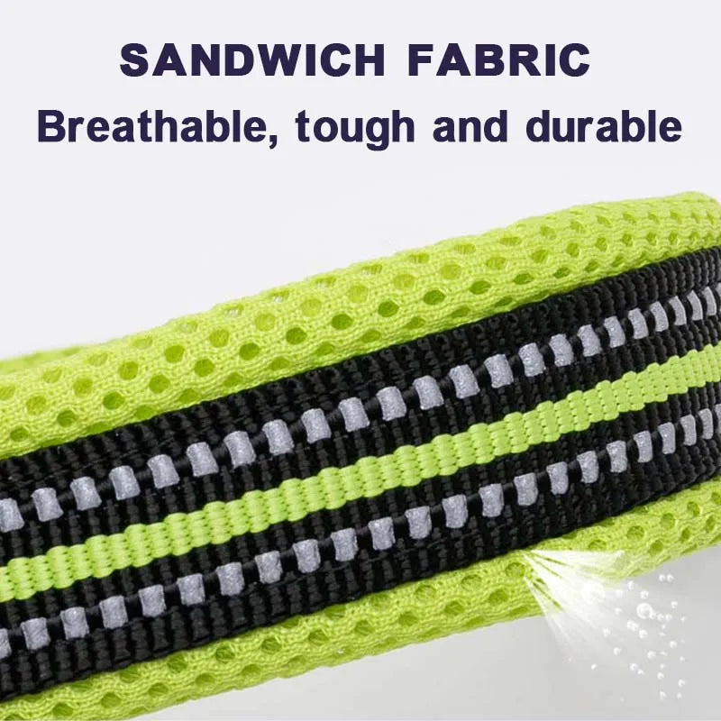 Winhyepet Padded Nylon Dog Collar With Secure Breakaway Buckle
