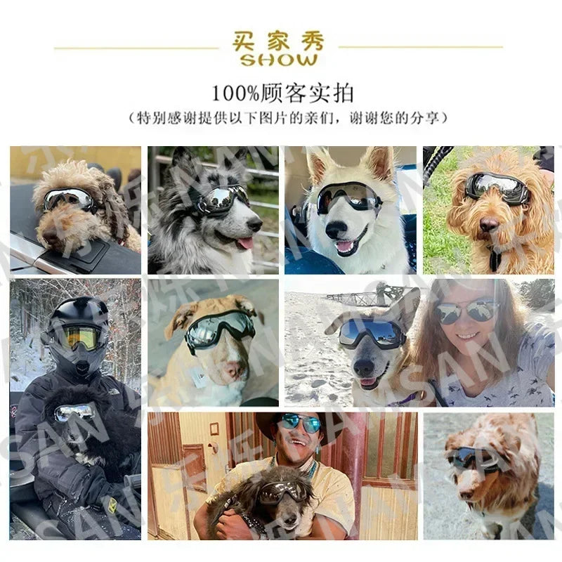 Professional Anti UV Dog Sunglasses With Breathable Windproof Frame