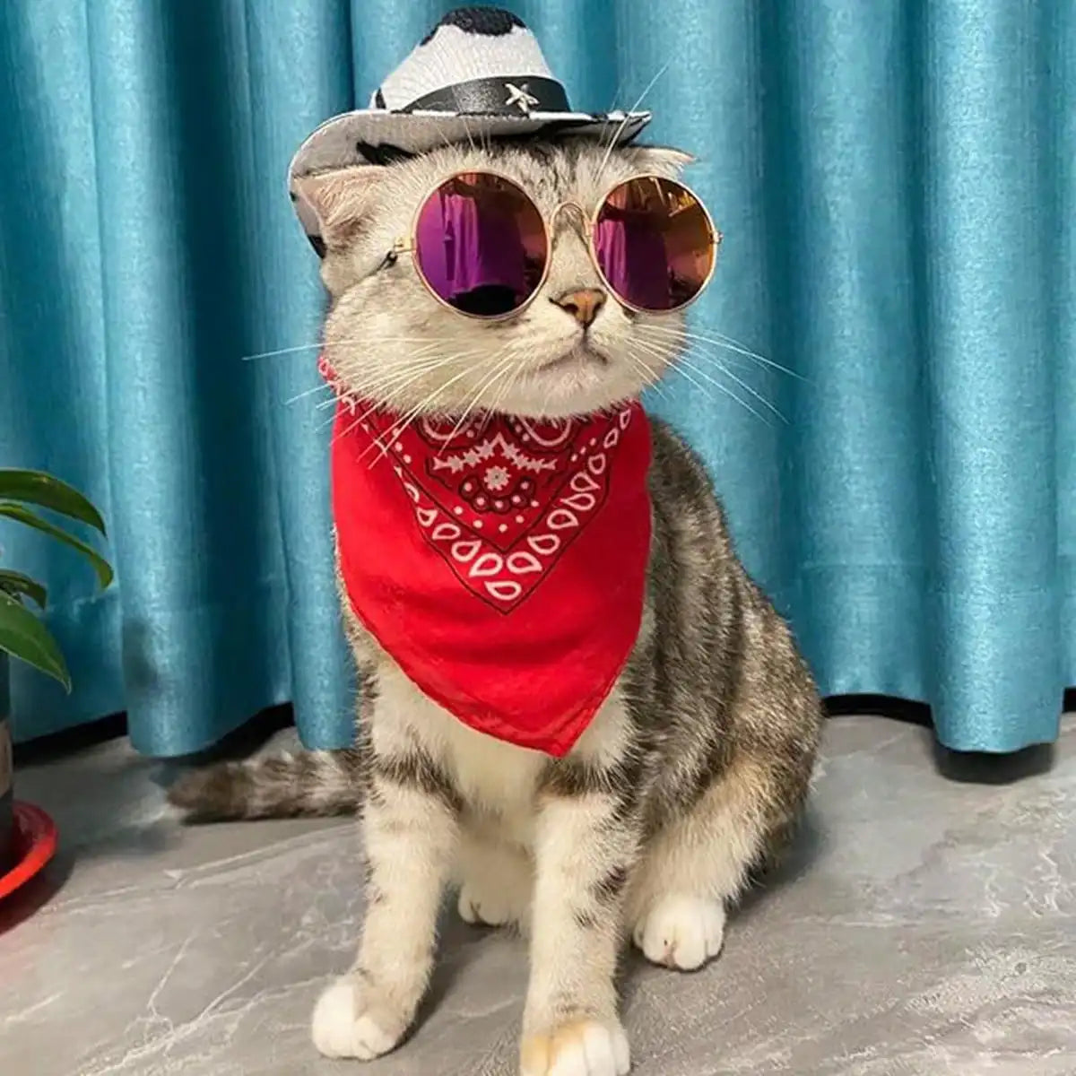 Dog Cowgirl Costume Pet Halloween Costumes Western Hat Bandana And Glasses Set For Dogs Cats