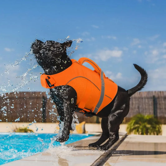 BXX Durable Mesh Dog Life Jacket With Reflective Rescue Handle