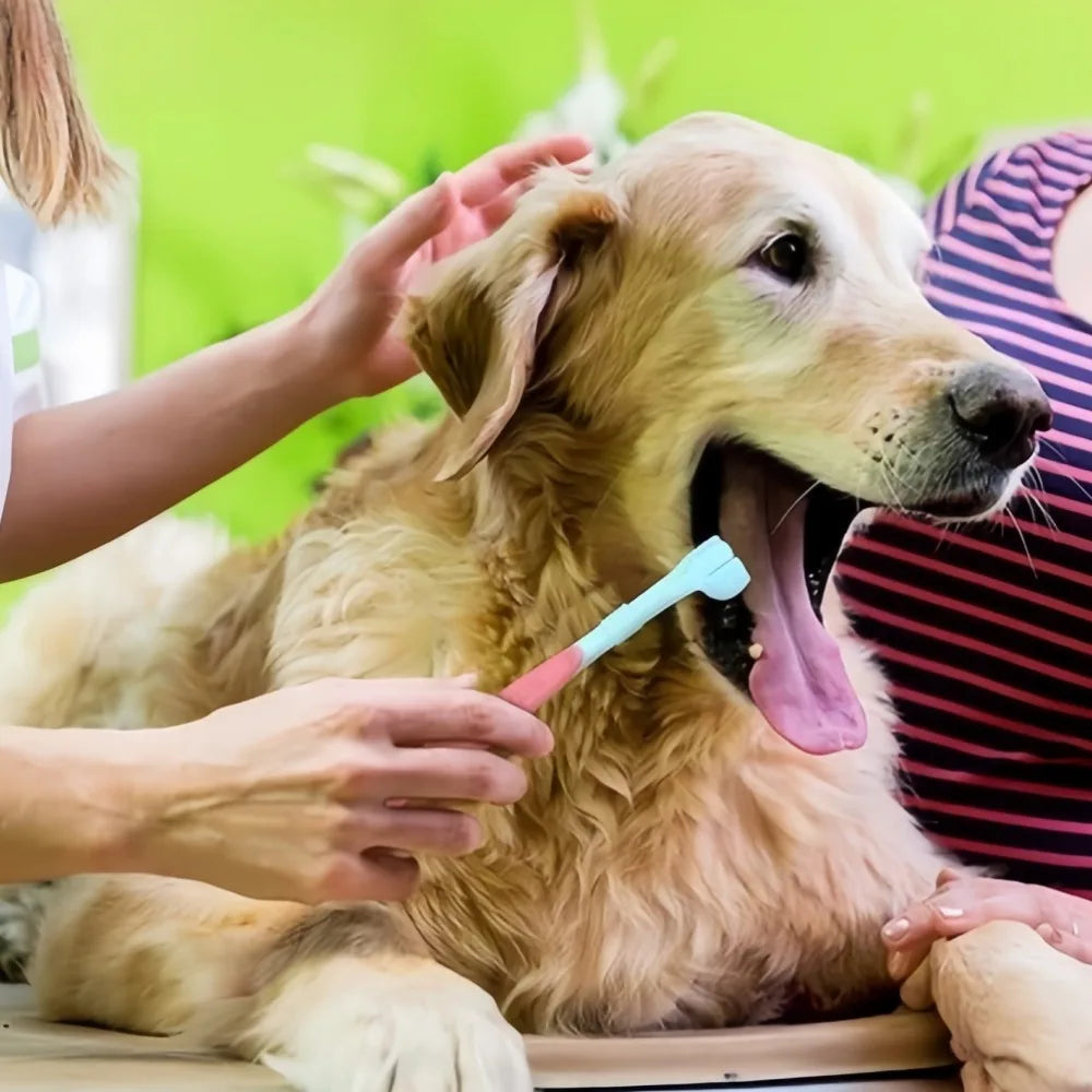 3-Sided Pet Toothbrush For Dogs And Cats Dental Care