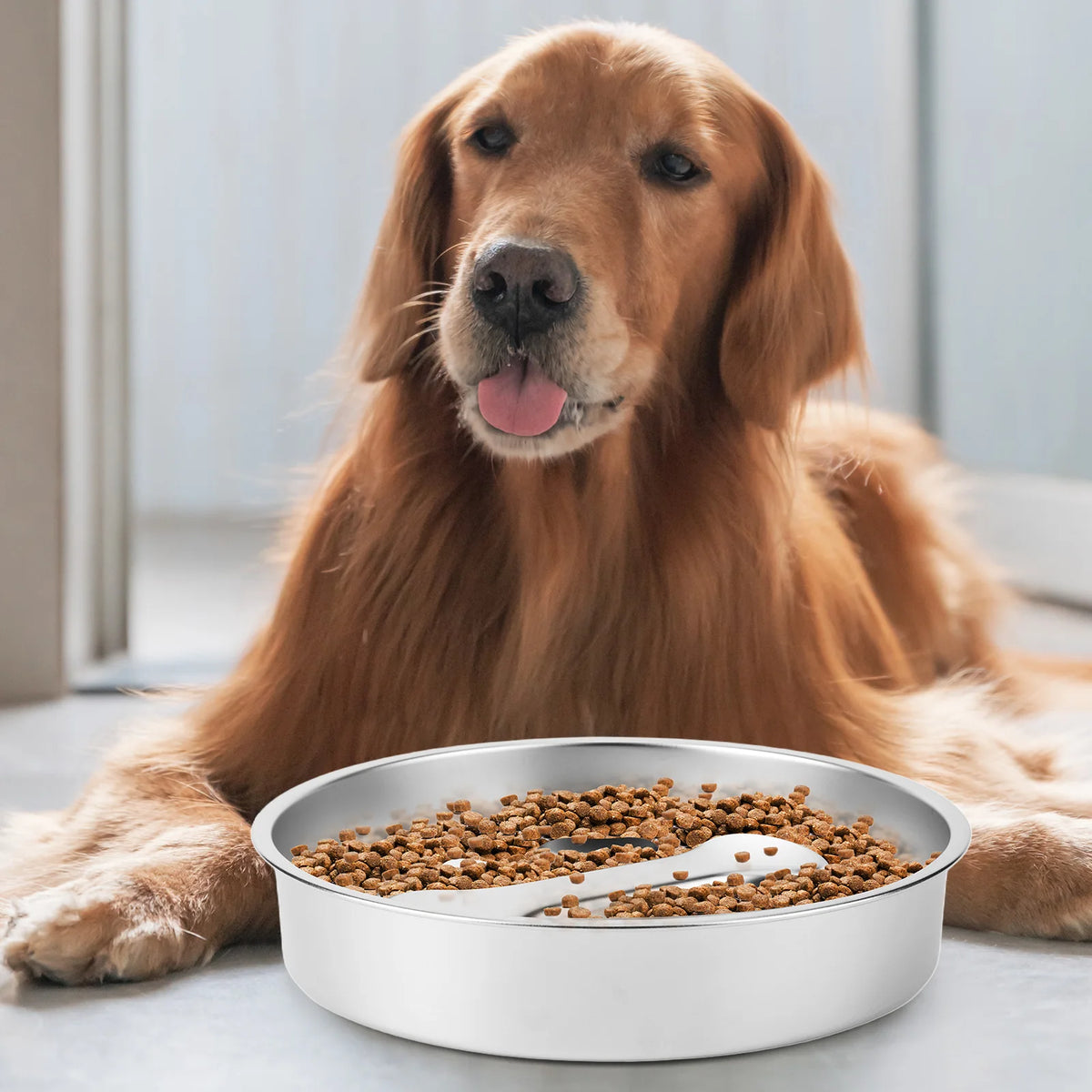 304 Stainless Steel Slow Feeder Dog Bowls with Non-Slip Mat Dog Wat Dog Water Bowl Pet Food Bowls for Small & Medium Dogs