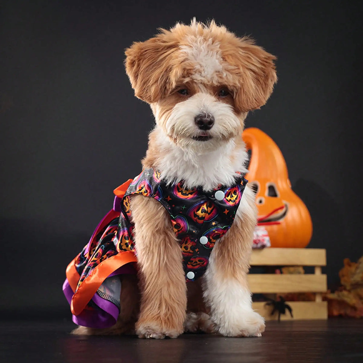 Pet Dog Dress, Funny Soft Pumpkin/Skull Print Bowknot Halloween Costume Indoor Outdoor Pet Supplies