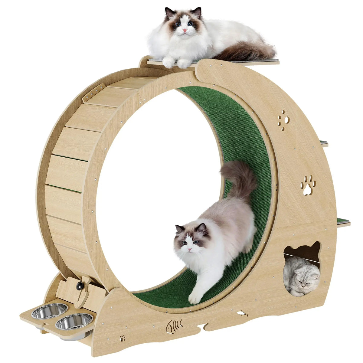HiMiss 6 In 1 Cat Exercise Wheel With Integrated Scratcher