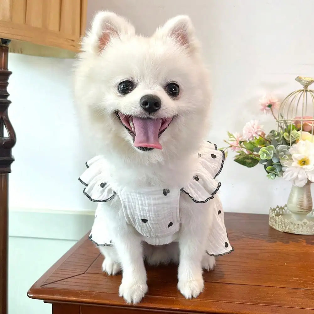 Cute Love Themed Pet Outfits For Dogs And Cats
