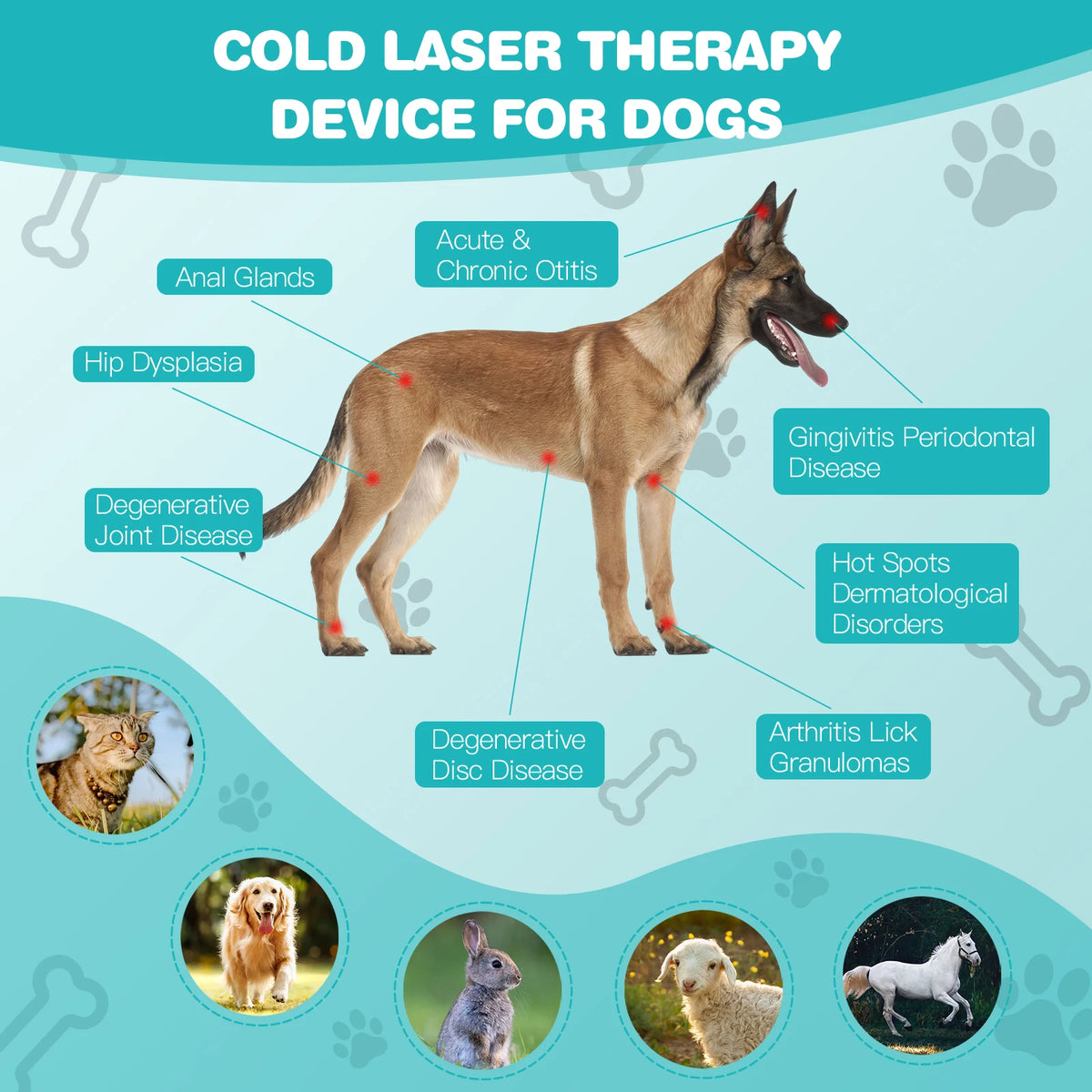 Pet Cold Laser Therapy Device 620nm 18 Diodes