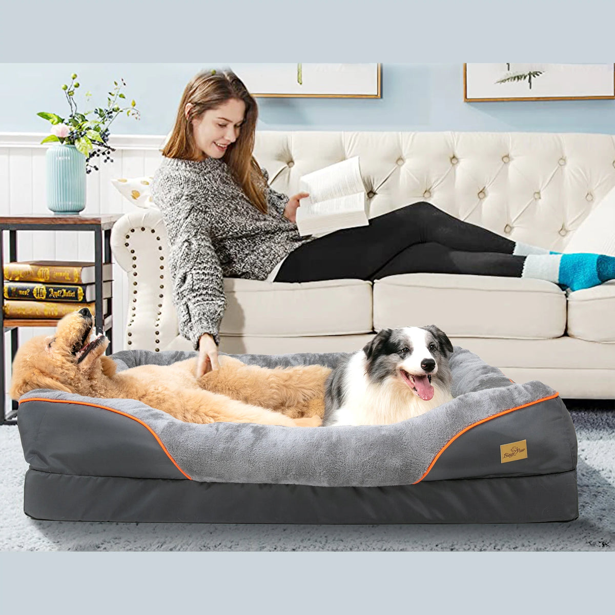 BINGOPAW Dog Bed Anti Allergy Waterproof With Removable Cover