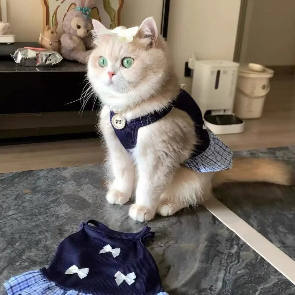 Korean Style Pet Skirt With Bowknot For Dogs And Cats