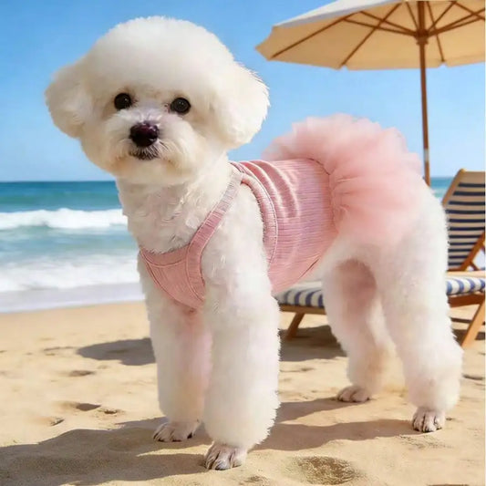 Elegant Ballet Tulle Dress for Small Dogs and Cats