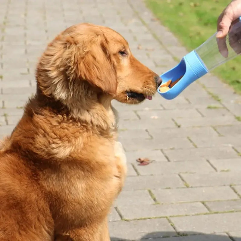 Portable Two In One Glass Pet Water Bottle And Feeder