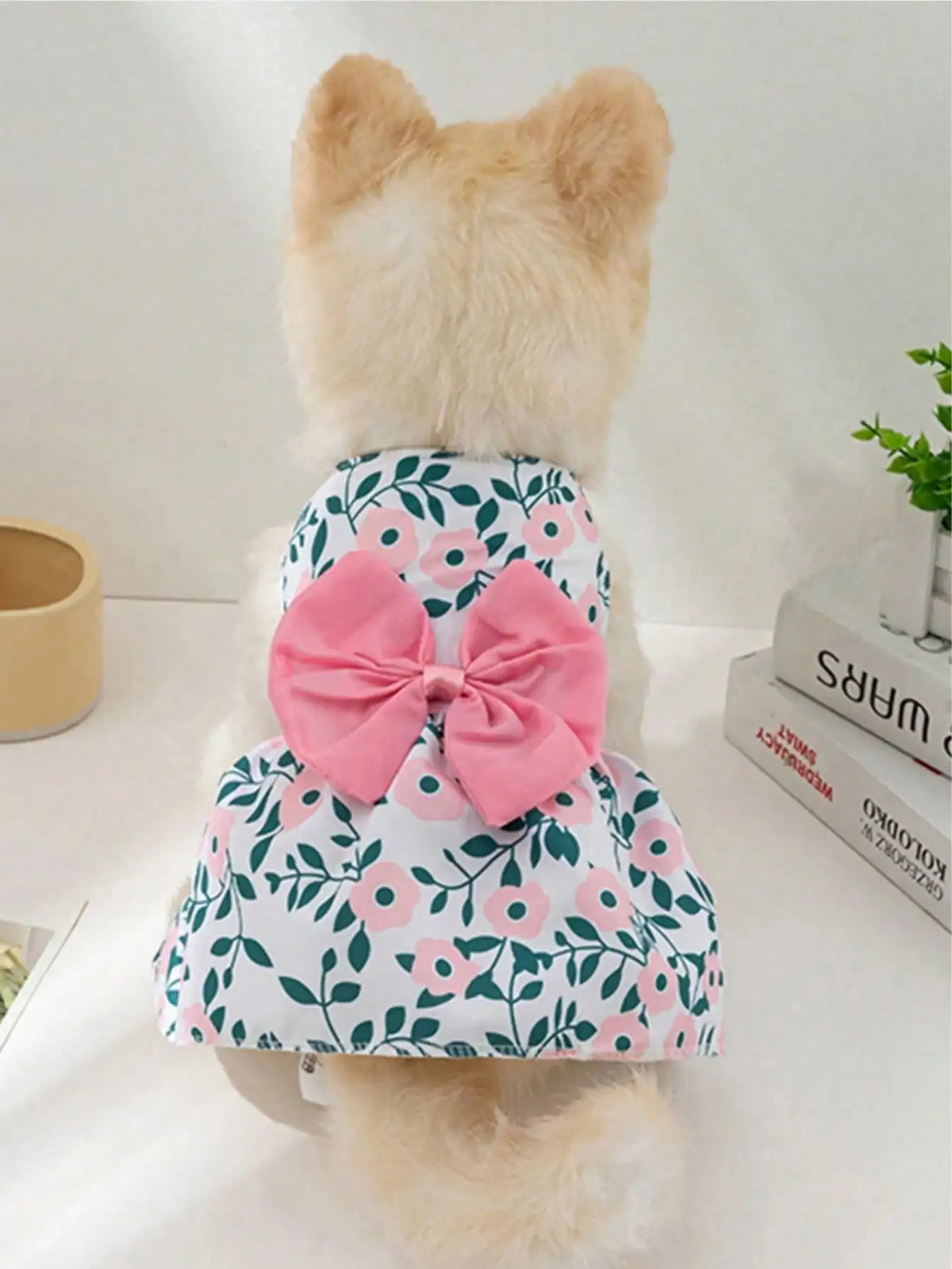 Strawberry Print Bow Dog Dress