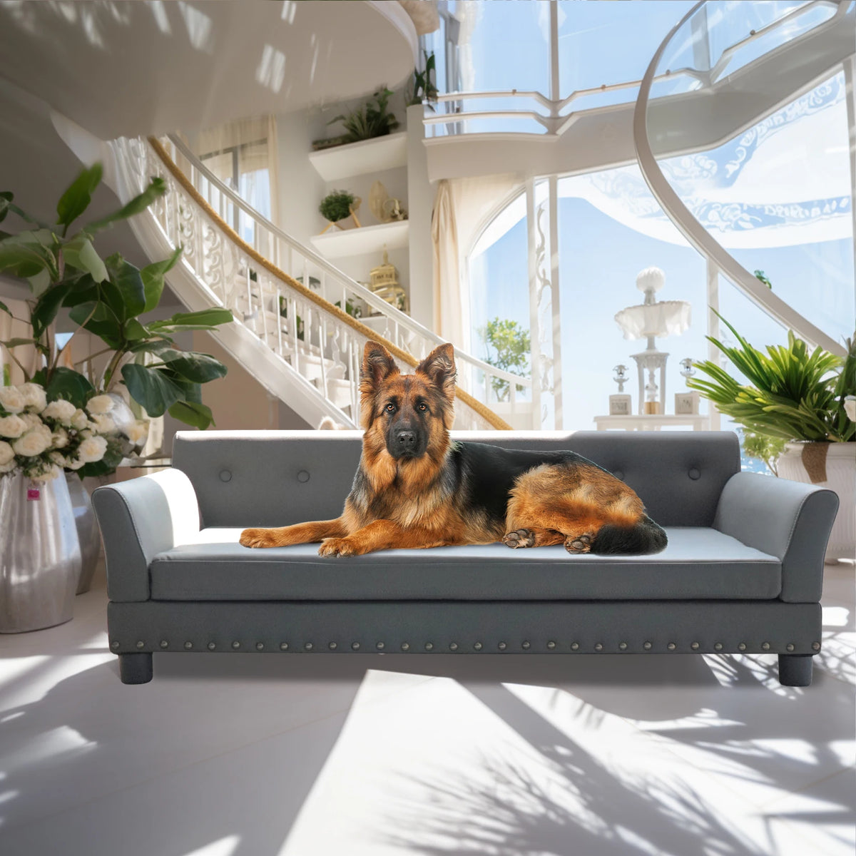 BINGOPAW Durable Elevated Dog Sofa Bed