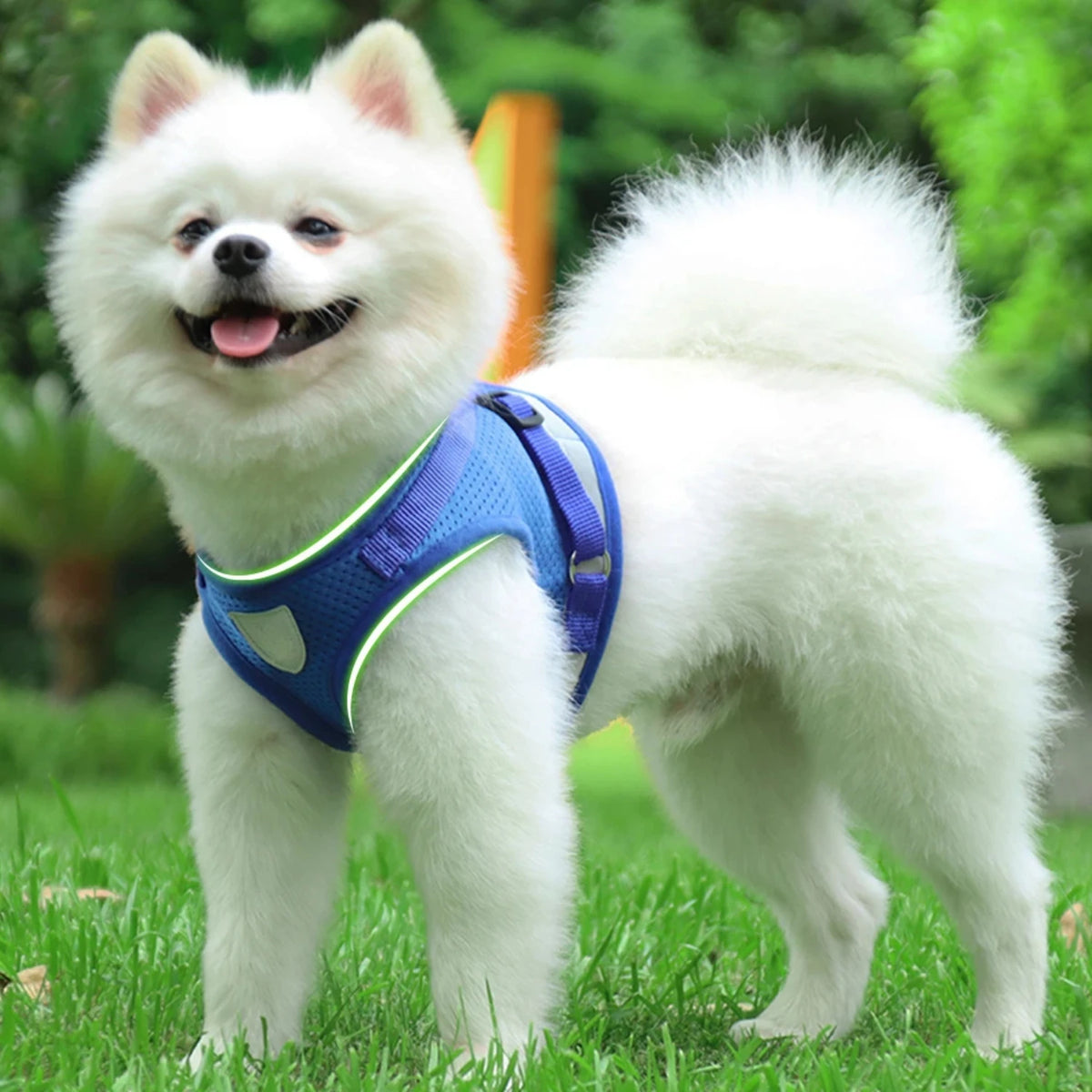 Dog Cat Harness With Adjustable Leash Reflective Mesh Vest