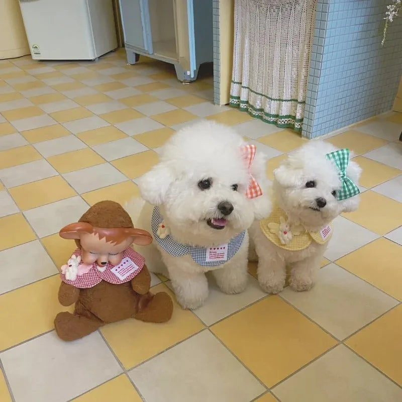 Joaninpet Plaid Rabbit Cape And Pet Scarf For Dogs