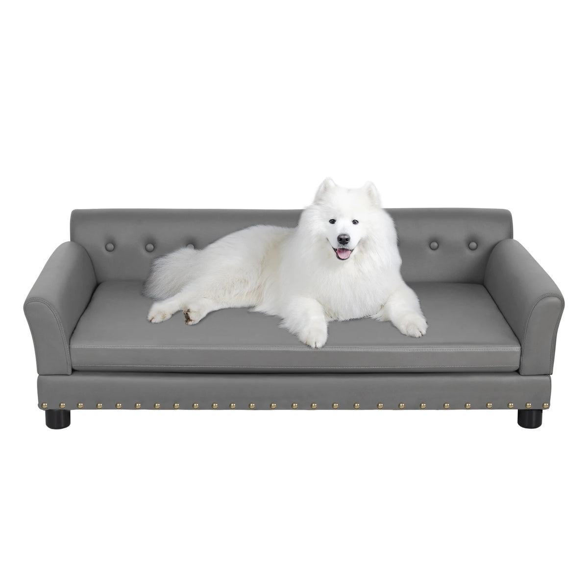 BINGOPAW Durable Elevated Dog Sofa Bed