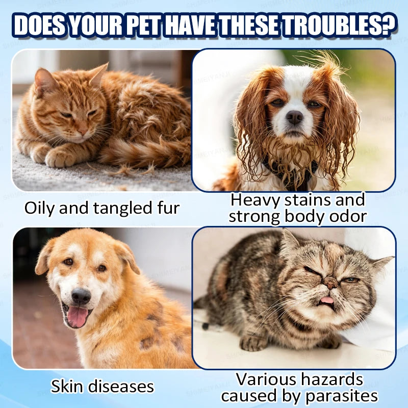 Waterless Dry Shampoo Foam For Cats And Dogs
