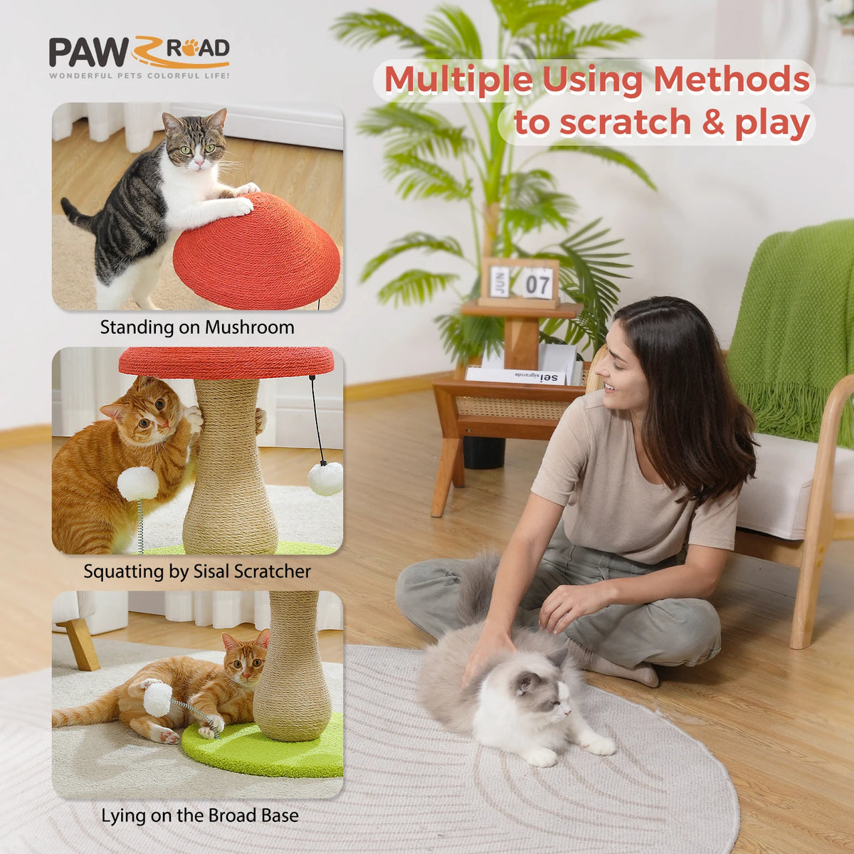 PAWZ Road Mushroom Cat Scratching Post