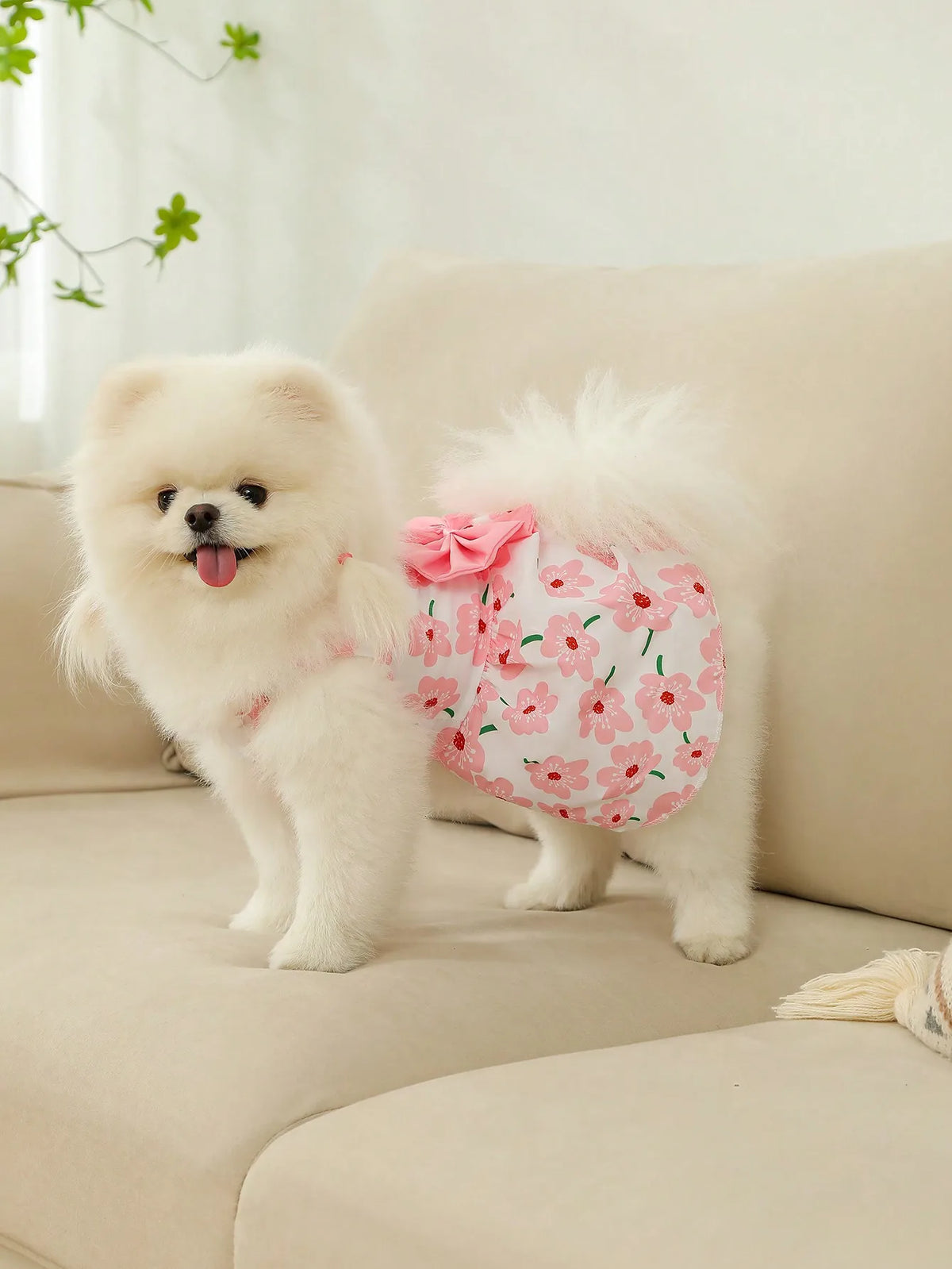 Strawberry Print Bow Dog Dress