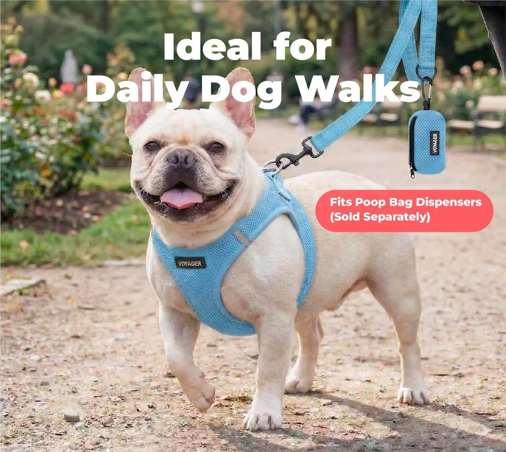 Reflective Neoprene Handle Heavy Duty Nylon Dog Leash