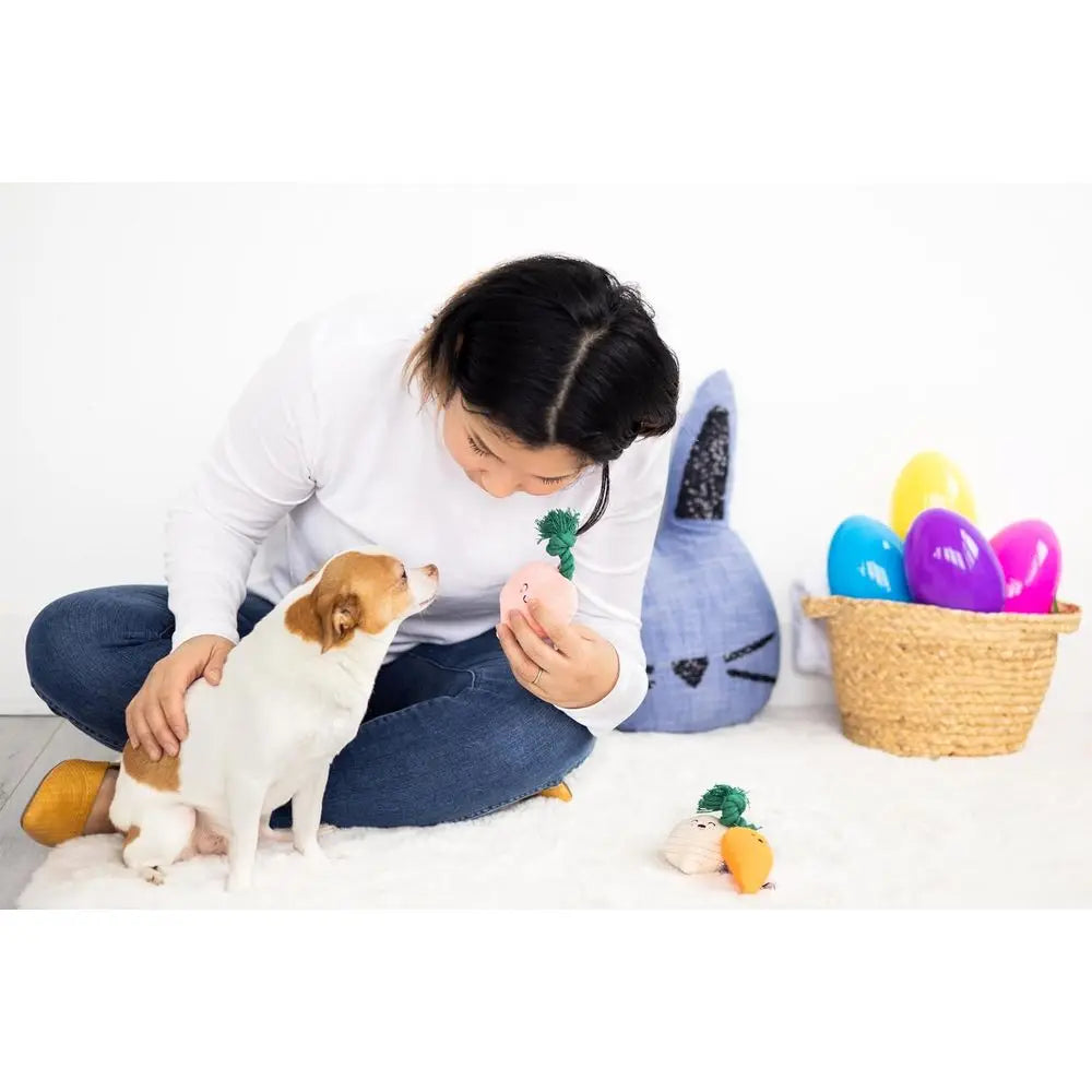 Garden Veggies Dog Toys, Plush Squeaky Rope Dog Toys, Radish Carrot & Turnip Vegetable Dog Toy Set, Loud Squeakers, Set of 3