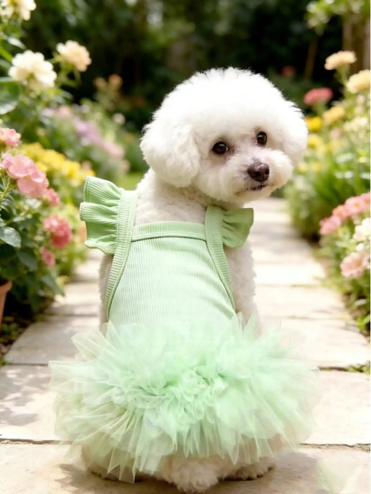 Ruffled Sleeve Princess Dress For Small Pet Dogs And Cats