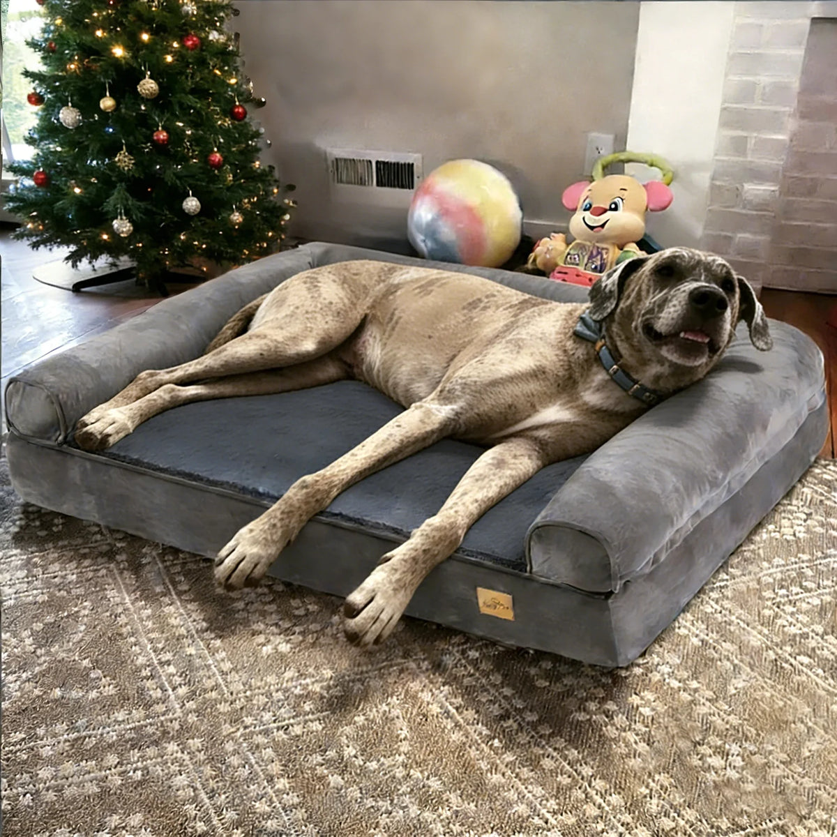 BORWART Orthopedic Memory Foam Dog Bed Removable Waterproof Plush Cover