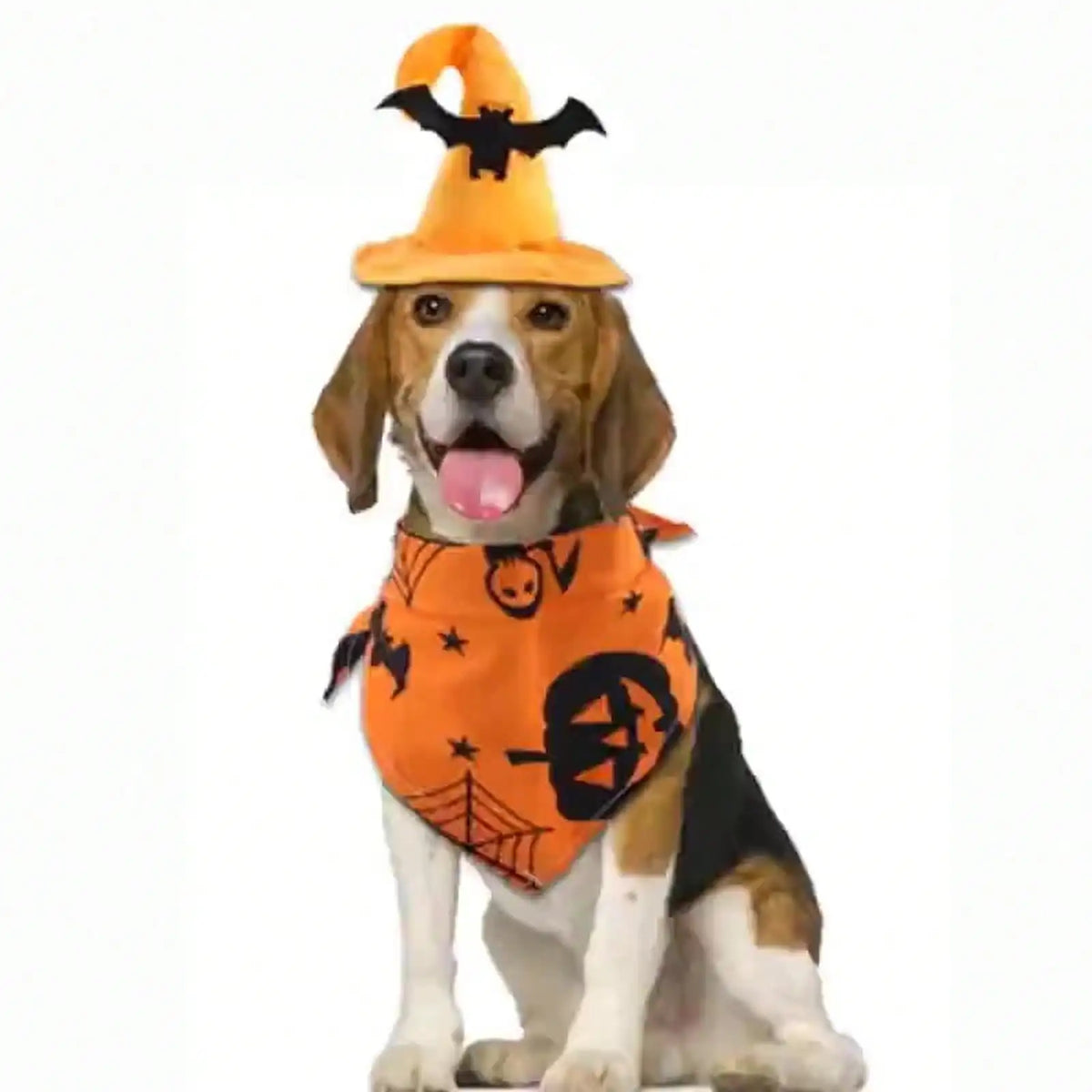 Halloween Pet Witch Hat Bandana Set Bat Pumpkin Print Adjustable Small Dogs Cats Holiday Cosplay Costume