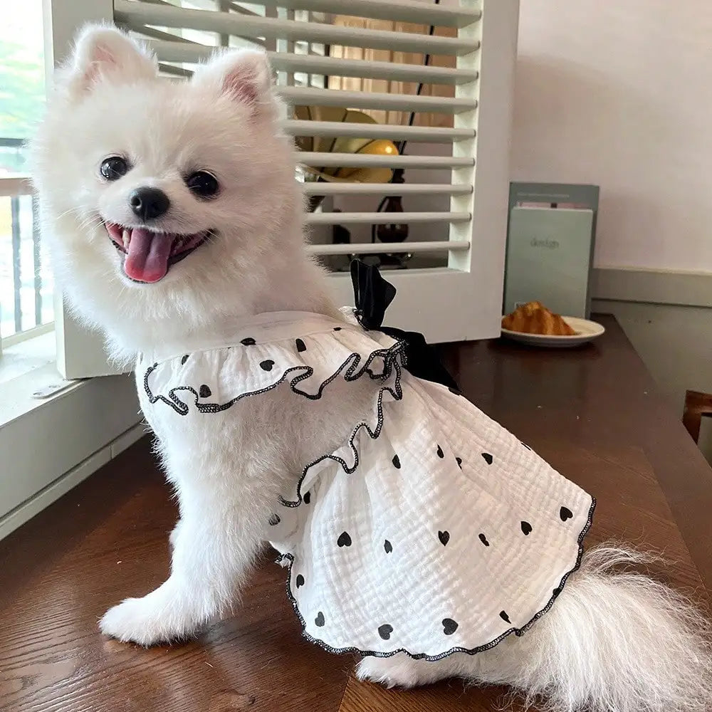 Cute Love Themed Pet Outfits For Dogs And Cats