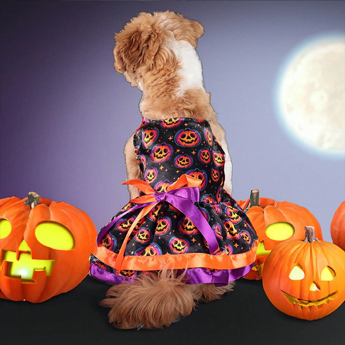 Pet Dog Dress, Funny Soft Pumpkin/Skull Print Bowknot Halloween Costume Indoor Outdoor Pet Supplies