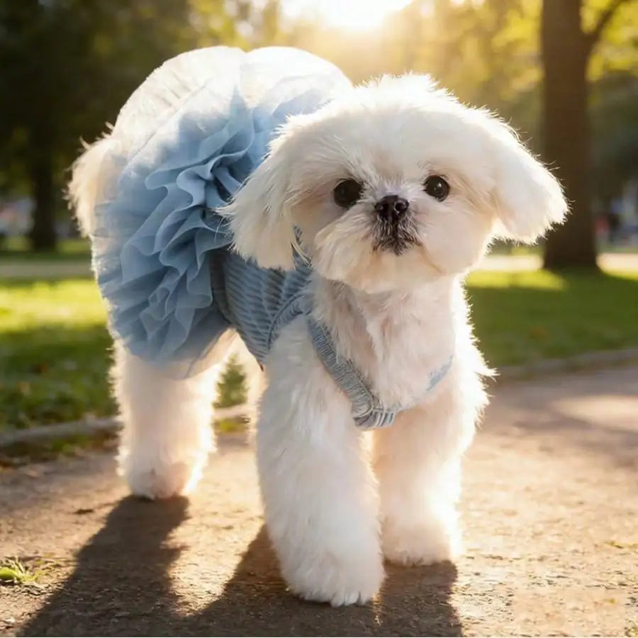 Elegant Ballet Tulle Dress for Small Dogs and Cats