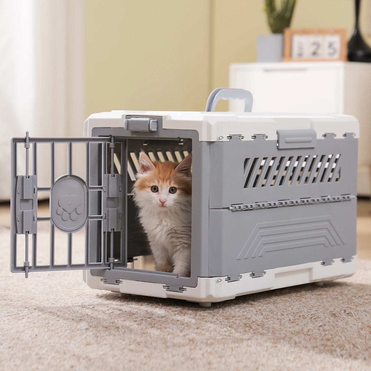 Foldable Pet Carrier, Collapsible Cat Dog Travel Crate with Secure Lock Door, Anti-Slip Mat, Portable Small Animal Kennel for Travel