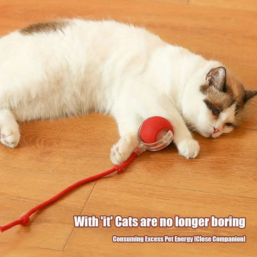Self Moving LED Interactive Cat Toy Ball With Rope Tail