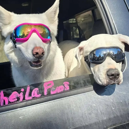 Professional Anti UV Dog Sunglasses With Breathable Windproof Frame