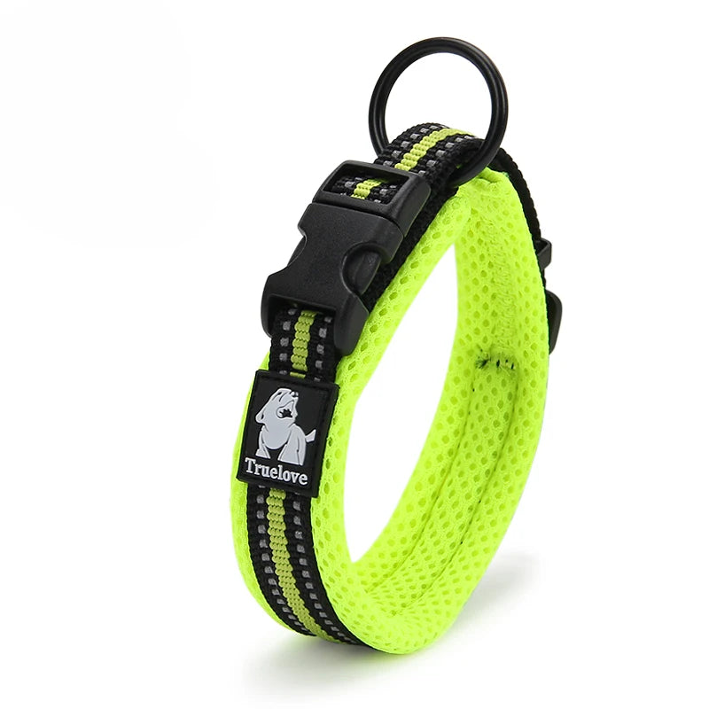 Winhyepet Padded Nylon Dog Collar With Secure Breakaway Buckle