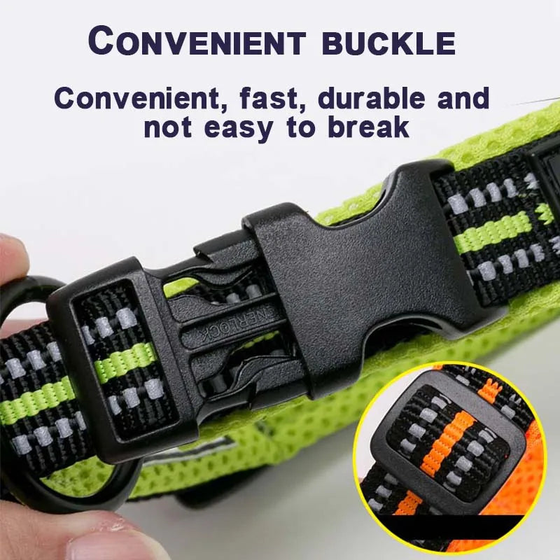 Winhyepet Padded Nylon Dog Collar With Secure Breakaway Buckle