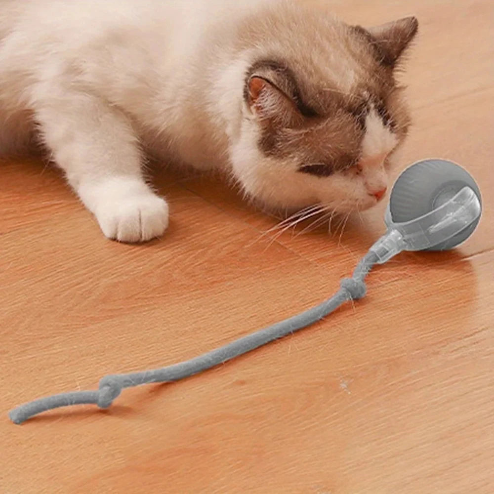 Self Moving LED Interactive Cat Toy Ball With Rope Tail