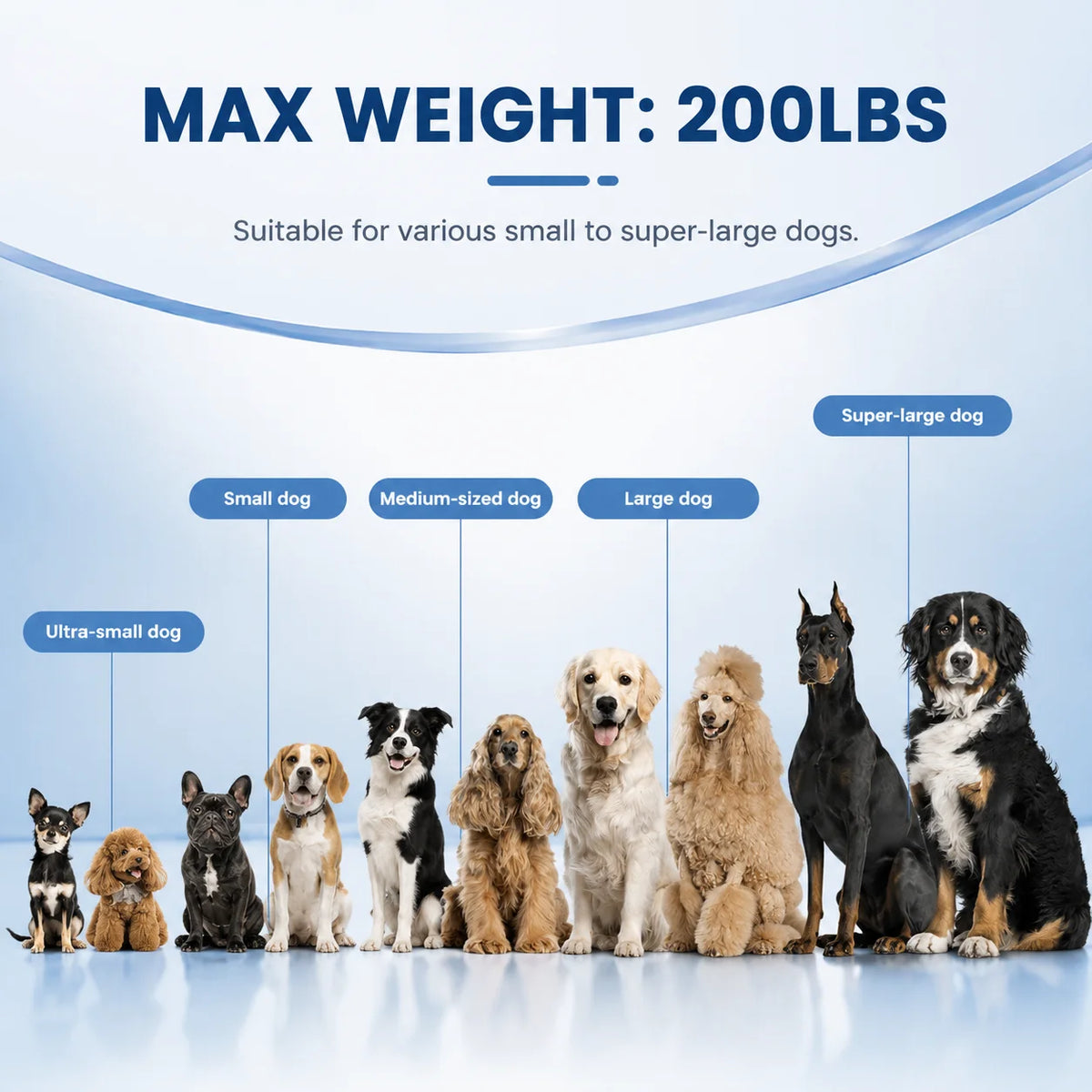 Inflatable Dog Ramp For Small Dogs Supports 230lbs