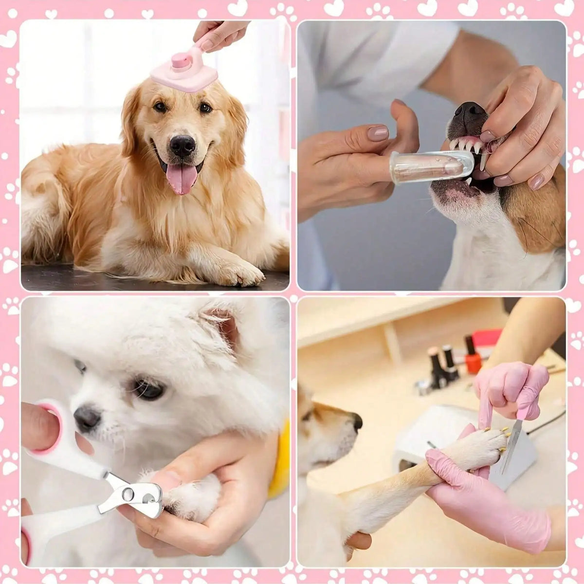 Complete Pet Grooming Kit With Nail Clippers And Brushes