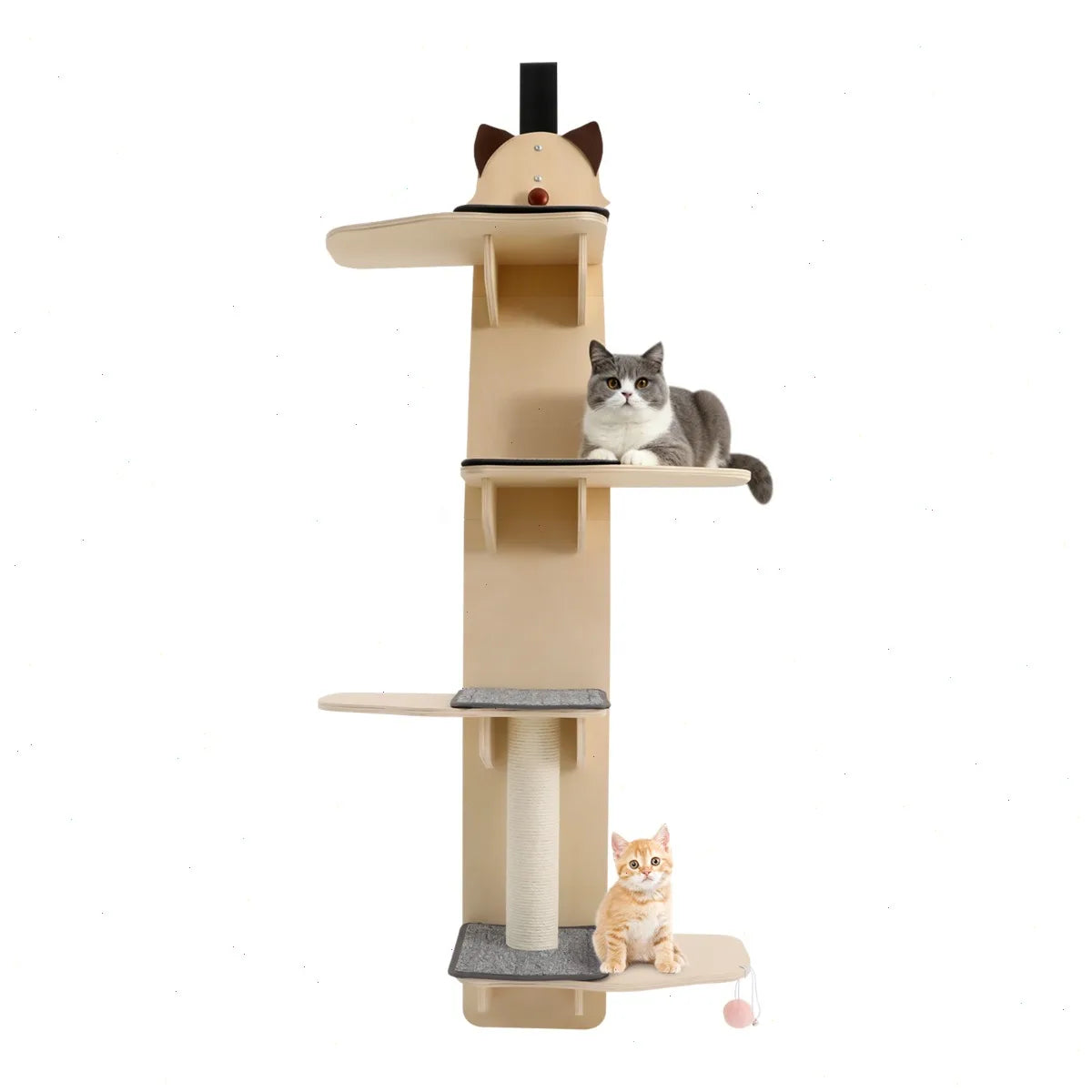 Door Hanging Cat Tree With Teaser Ball And Scratch Post