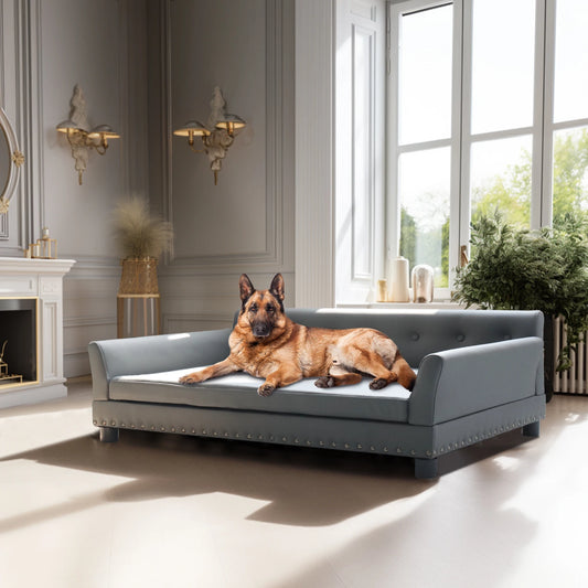BINGOPAW Durable Elevated Dog Sofa Bed
